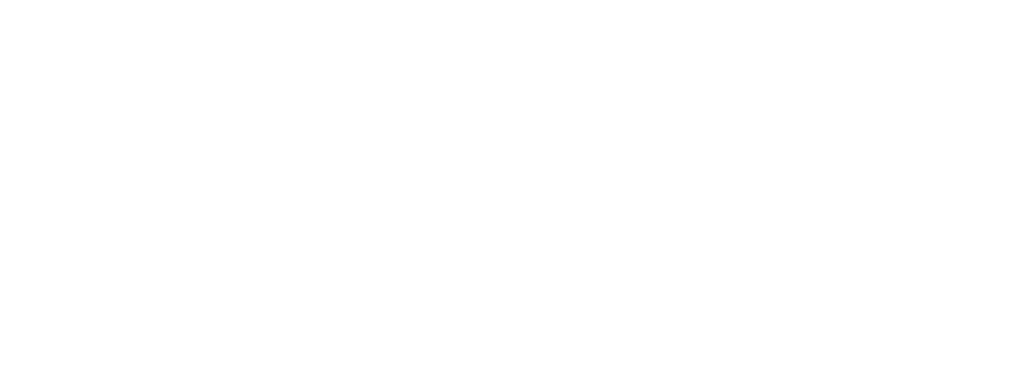 Fast Logo